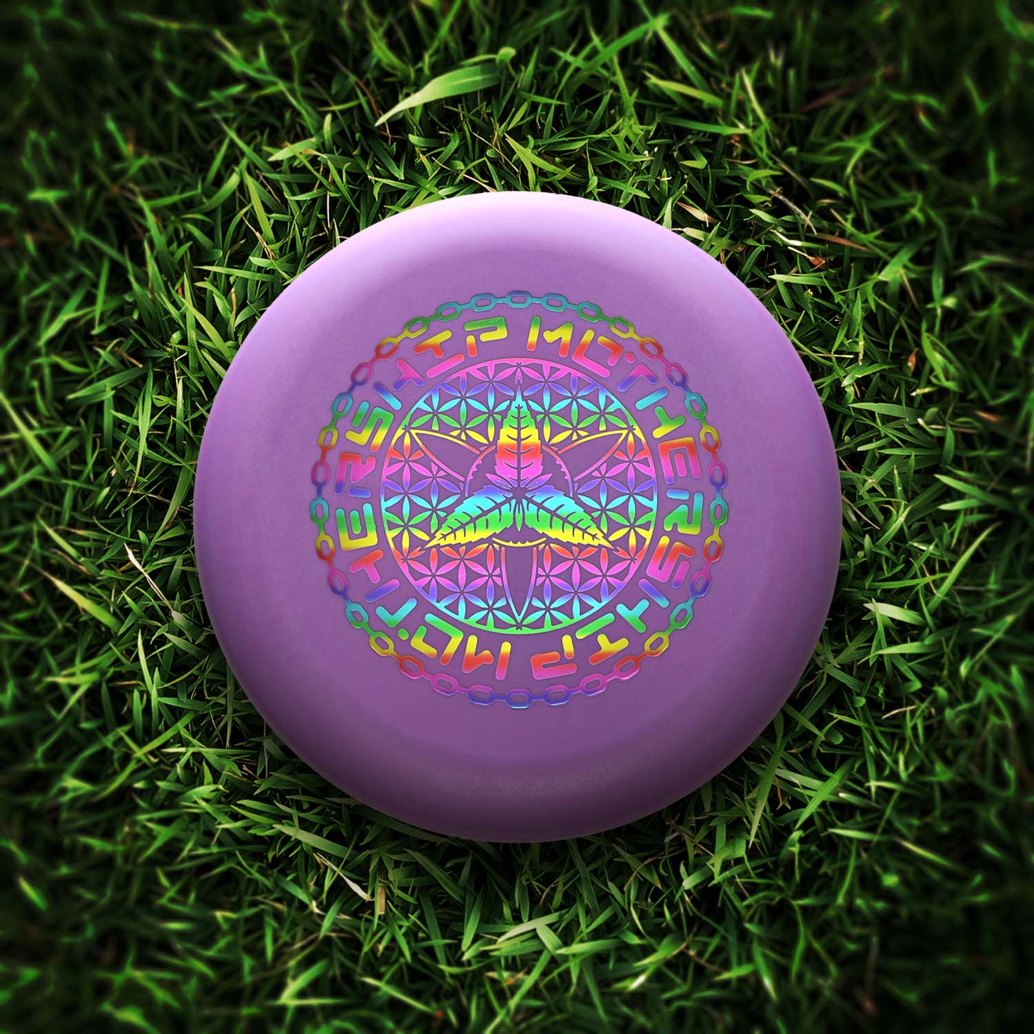 2025-MS-Innova-StarterPack-Whale-Purple-1