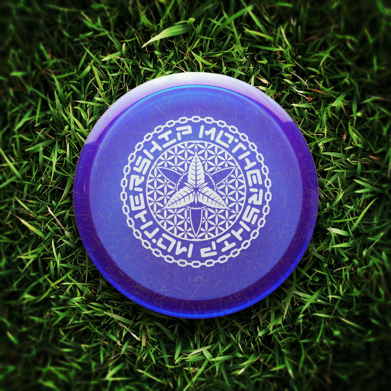 2025-MS-Innova-StarterPack-Wombat3-Purple-1