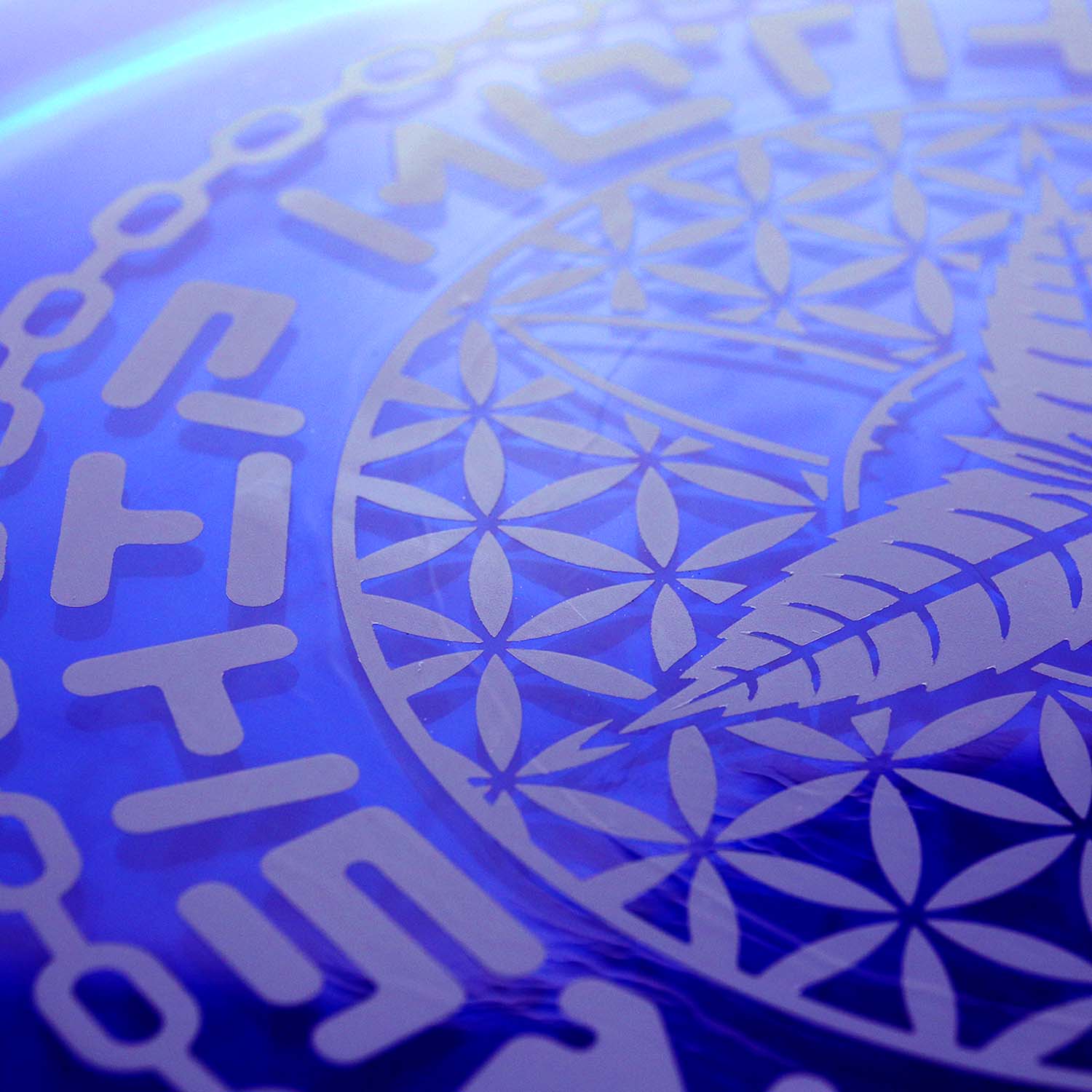 2025-MS-Innova-Wombat3-Detail