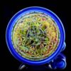 Amber Dragon Fab Egg (UV) - Thumbnail Image 6